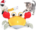 Blue and red electronic crawling crab dog toy with lights on a flat surface.