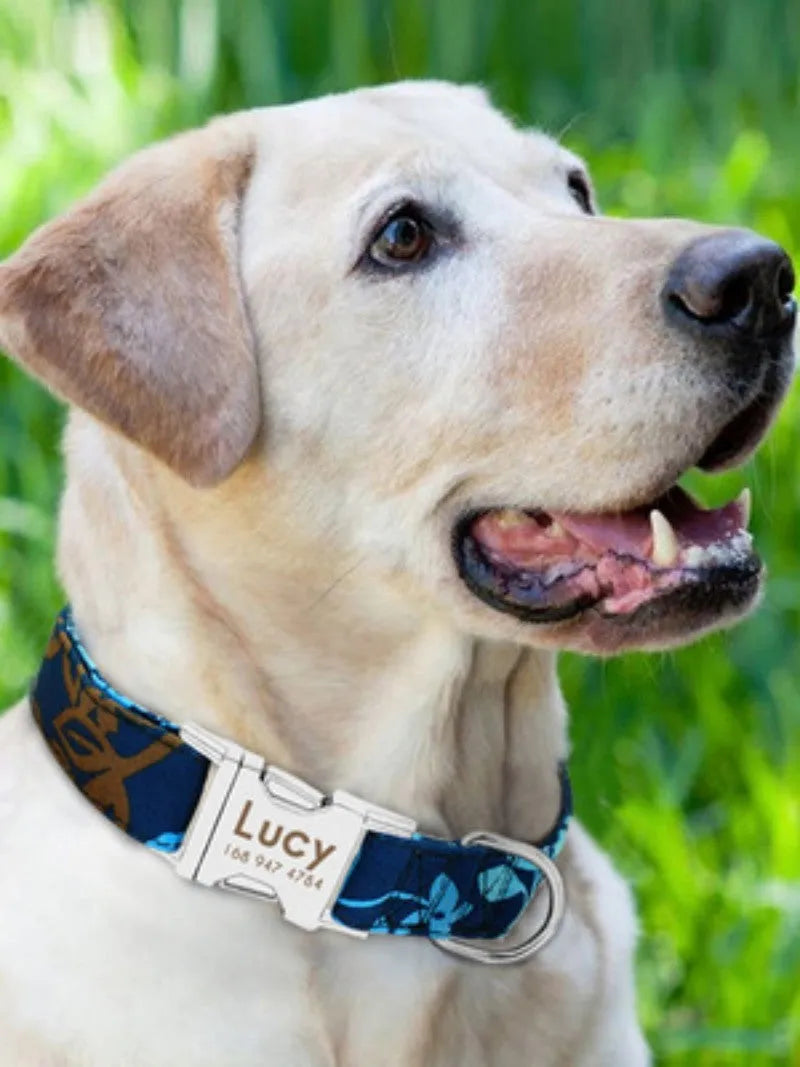 Adjustable dog collar shown in black, green, or rose red, with a buckle, available in S, M, and L sizes