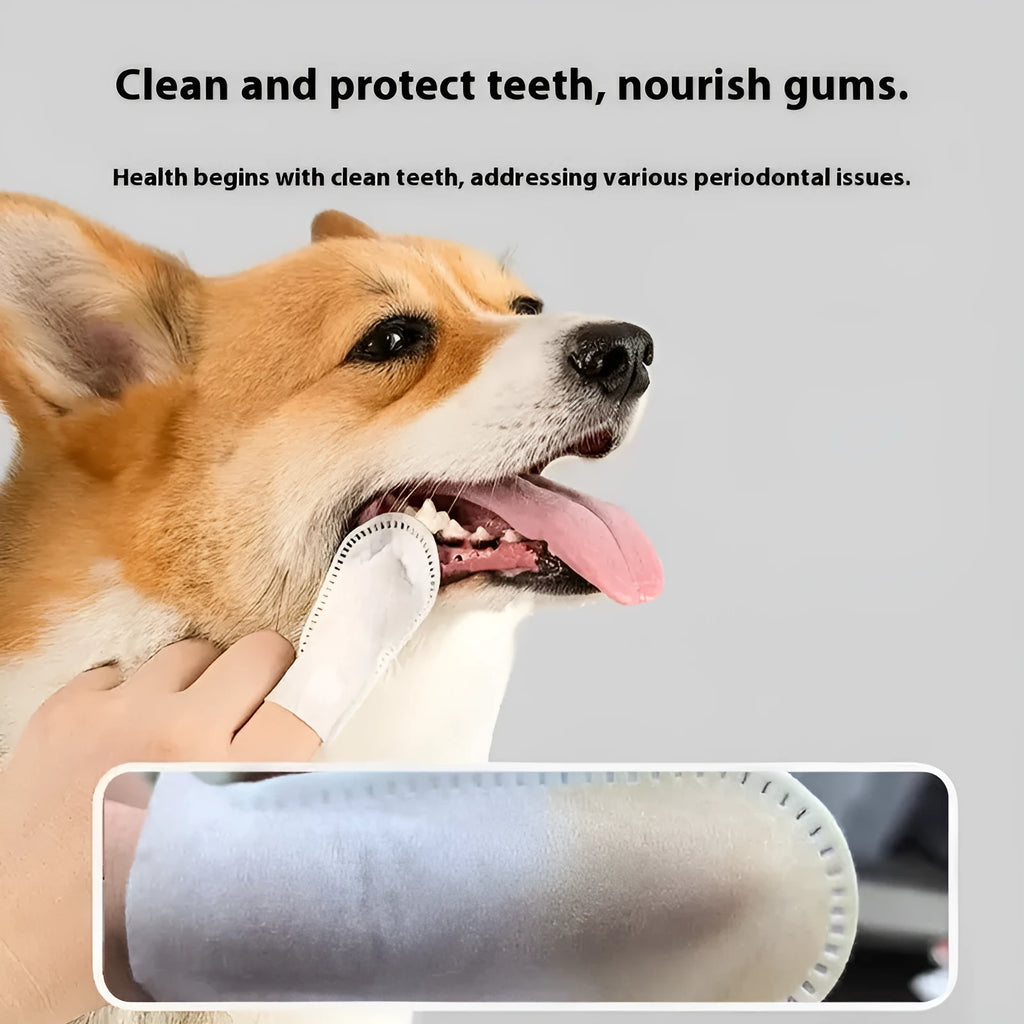 Pack of 50 soft white disposable finger cots for cleaning dog and cat teeth