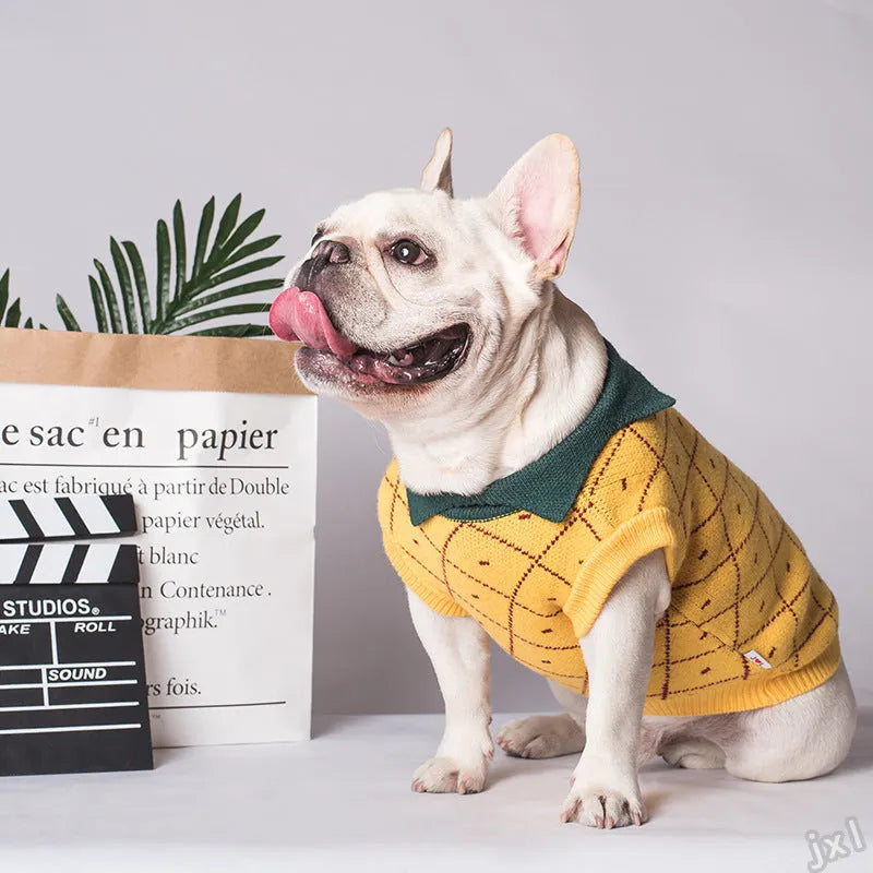 Yellow cotton dog sweater with collar on a white background, Japanese Korean style knit design