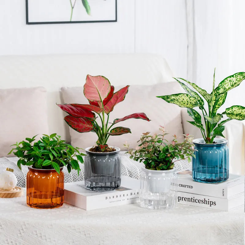 Self-absorbent hydroponic flowerpot transparent plastic resin small green plant pot vertical stripe