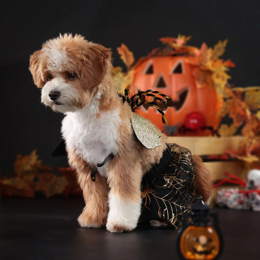 A dog wearing a black and white Halloween suit costume, shown in size L.