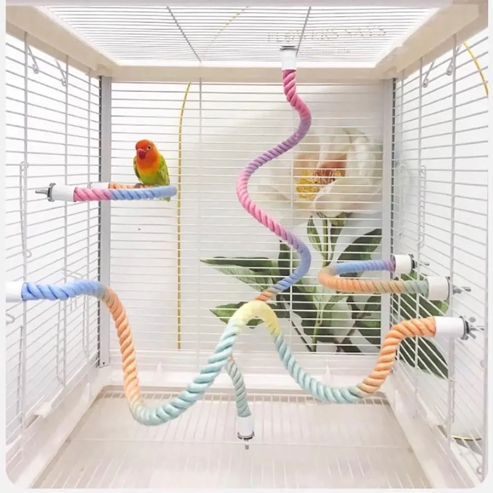 Gradient colourful bird rope perch set with U-shaped perch, long rope, and circular swing for cockatiels and parakeets