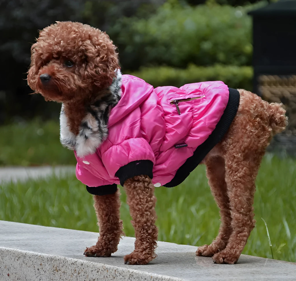 Zippered cotton padded pet clothes in polyester, shown in multiple colours and sizes XS to 2XL