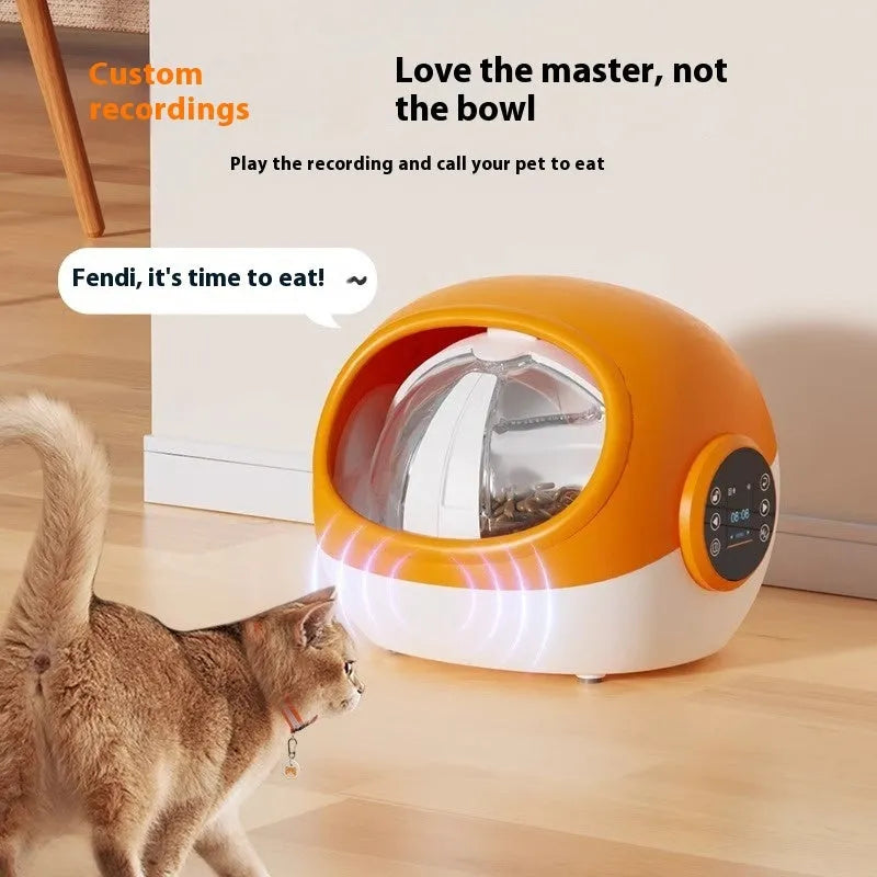 Pet anti-grab food chip identification multi-cat automatic plastic feeder with UK plug