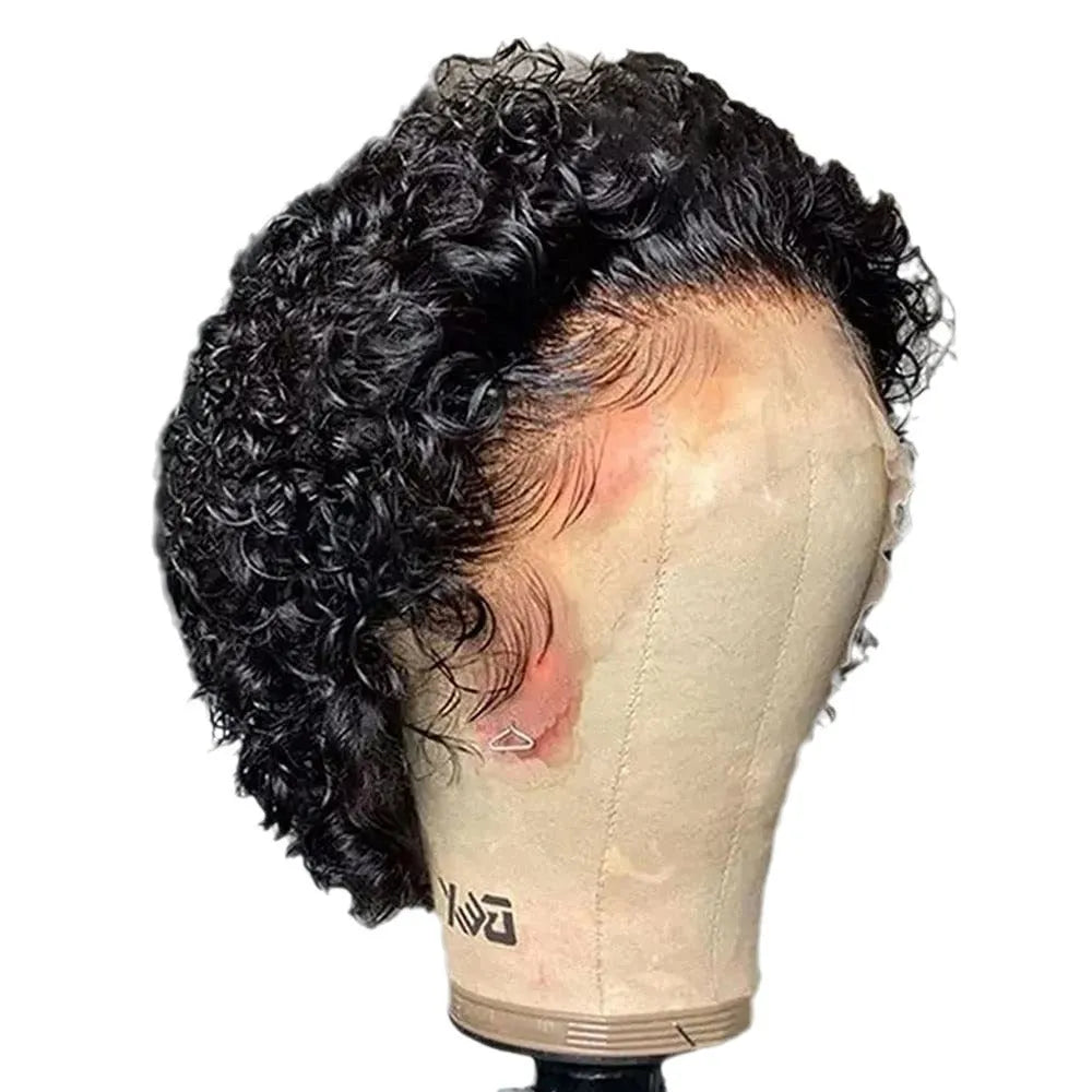 Black human hair wig with a 13x1 pre-plucked lace front, shown in a natural, straight style for daily wear.