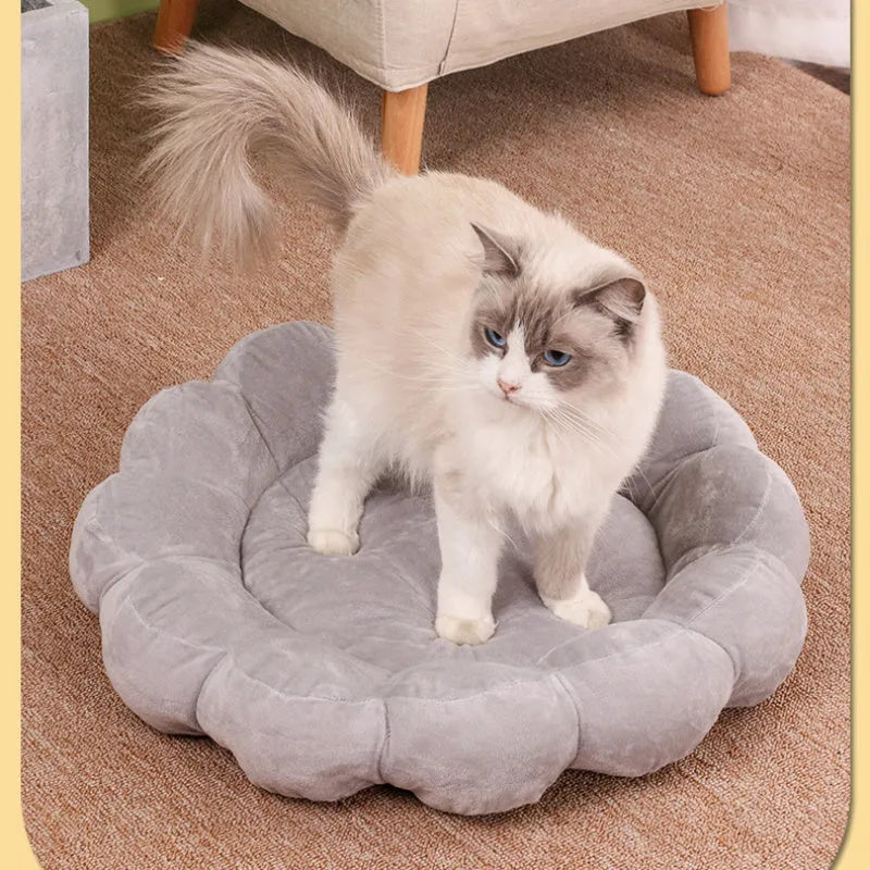 Blue half-surrounded plush pet nest bed measuring 50x50cm for cats and small dogs