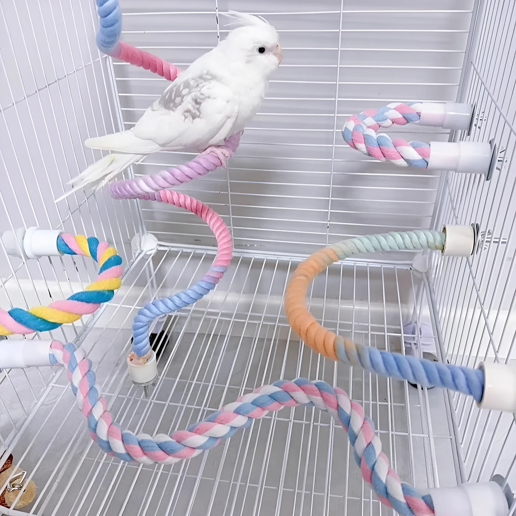 Gradient colourful bird rope perch set with U-shaped perch, long rope, and circular swing for cockatiels and parakeets