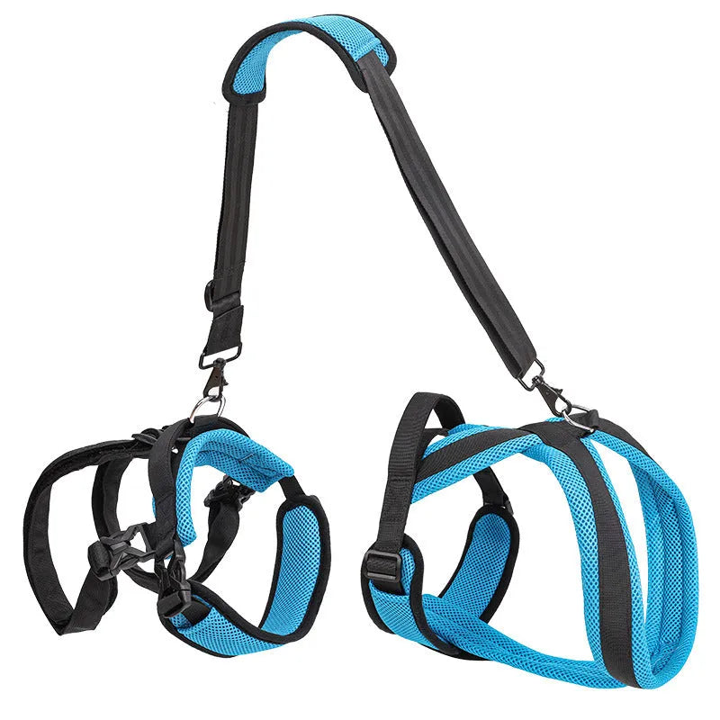 Blue polyester dog auxiliary strap hand held rope for walking training pet supplies