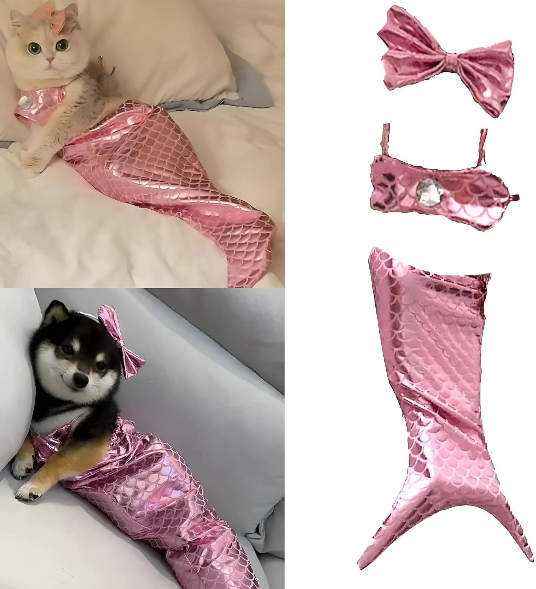 Blue mermaid costume with scale design on a cat, showing elastic fit and long fish tail.