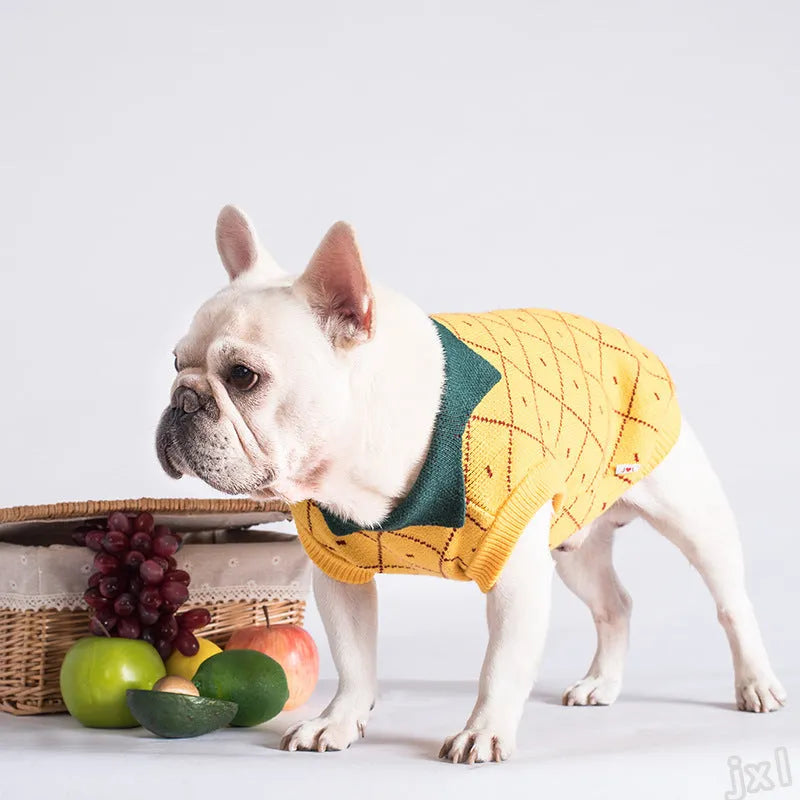 Yellow cotton dog sweater with collar on a white background, Japanese Korean style knit design