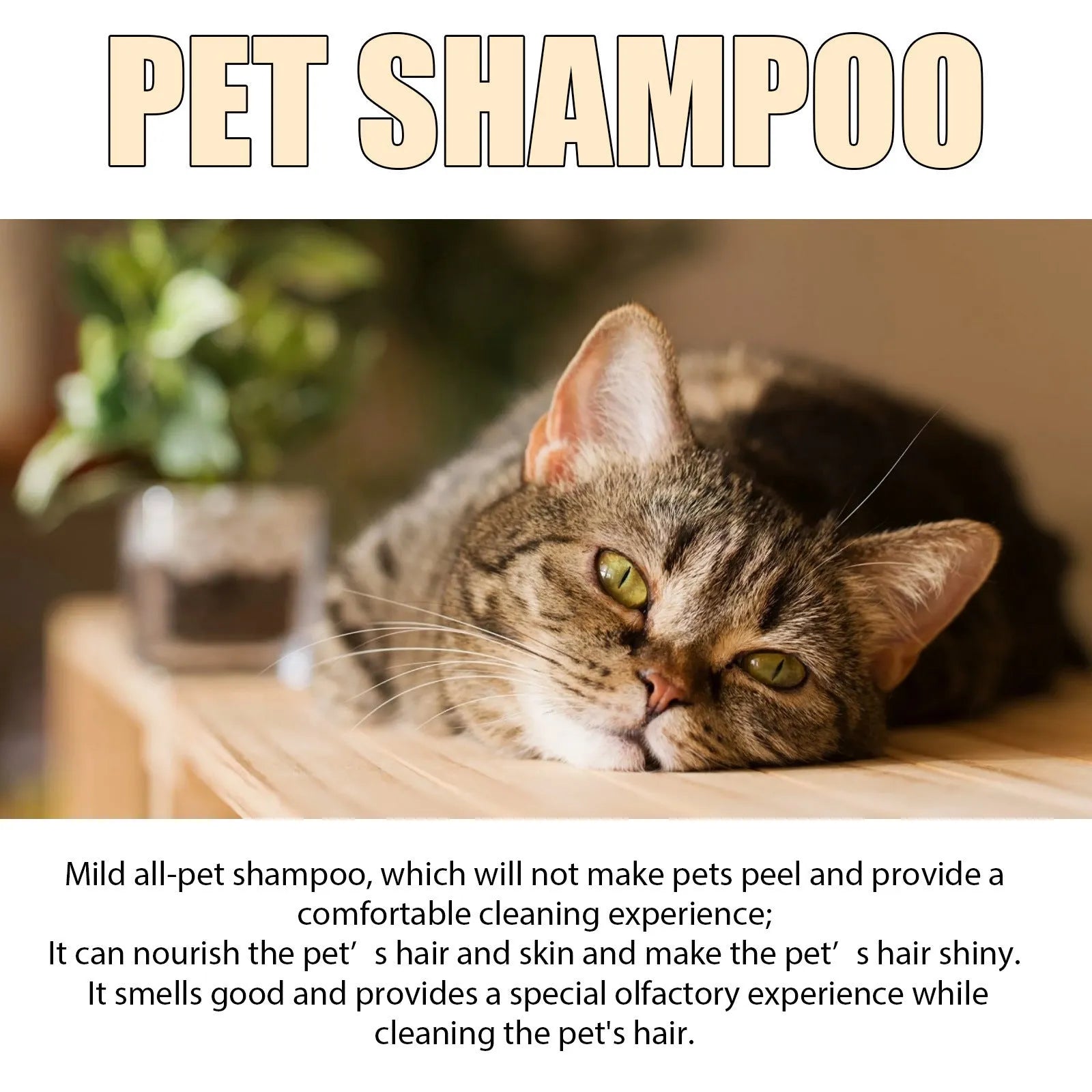Mild and Clean pet shampoo bottle for dogs in 100ml and 300ml sizes