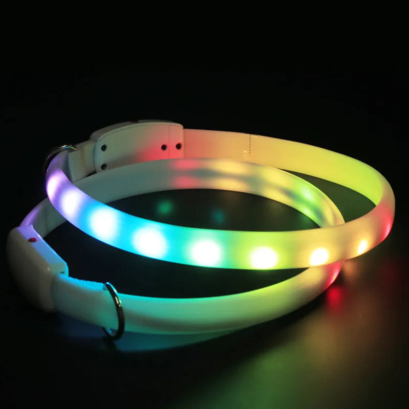 White USB rechargeable LED dog collar with glowing lights on a dog, adjustable 60cm safety collar for night walking