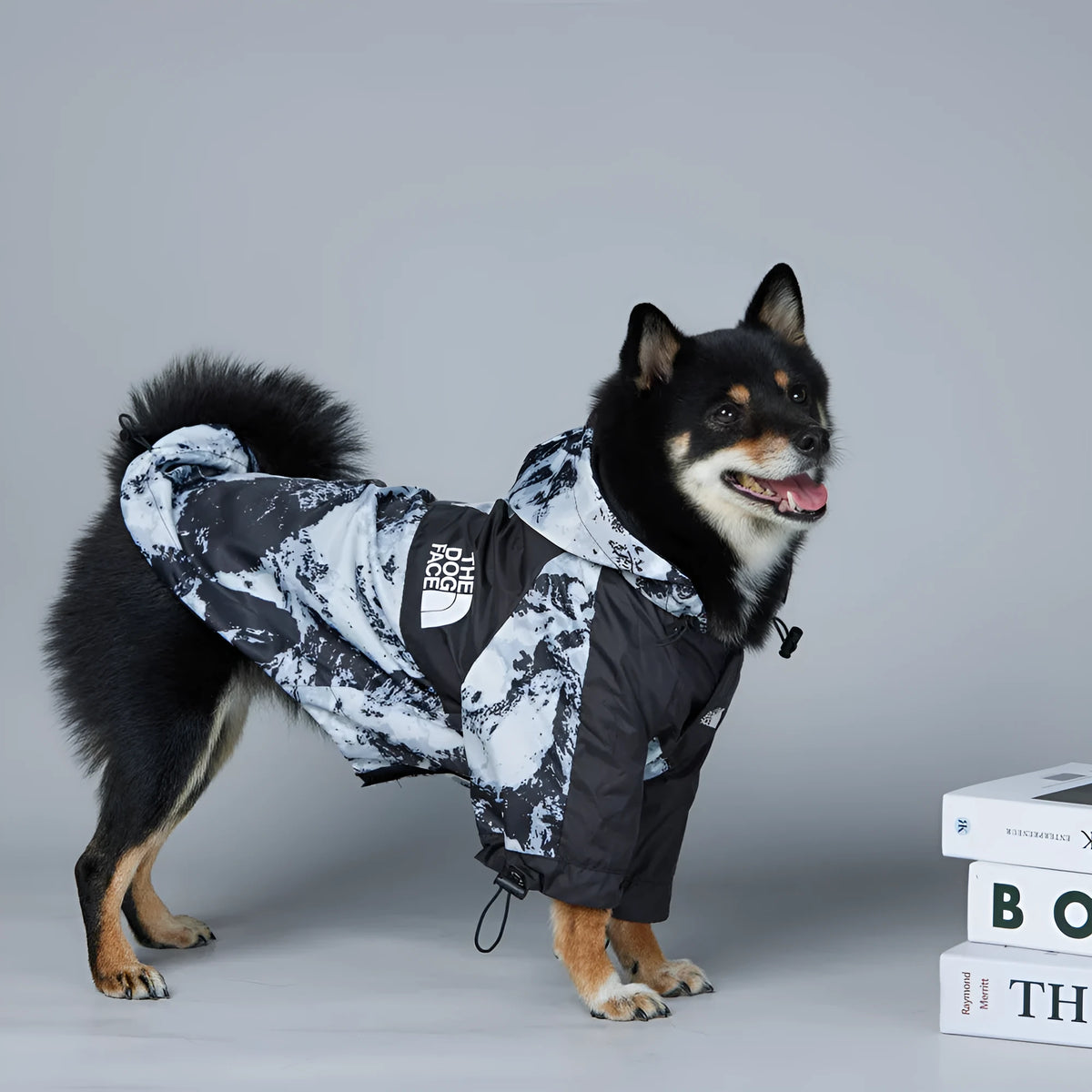 Dog wearing a windproof cotton coat with Five Generation Snow Mountain pattern, polyester material, available in sizes S to 5XL