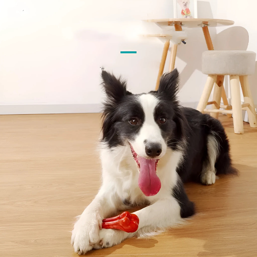 TPU nylon dog molar stick chew toy in leg bone shape for aggressive chewers