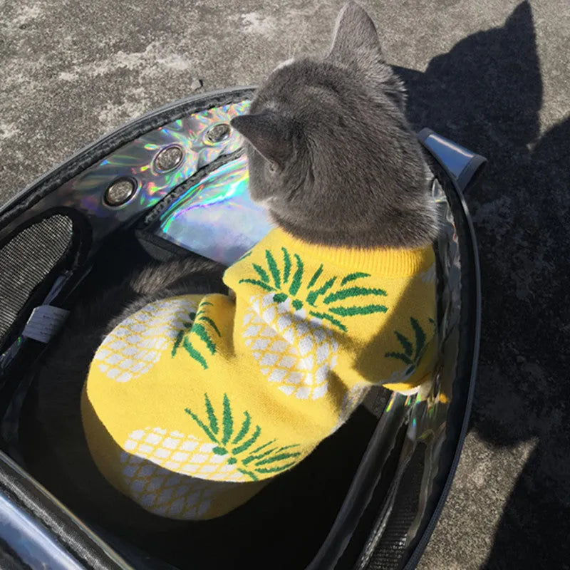 Yellow wool pet coat with pineapple print for autumn and winter, available in sizes S to XXL