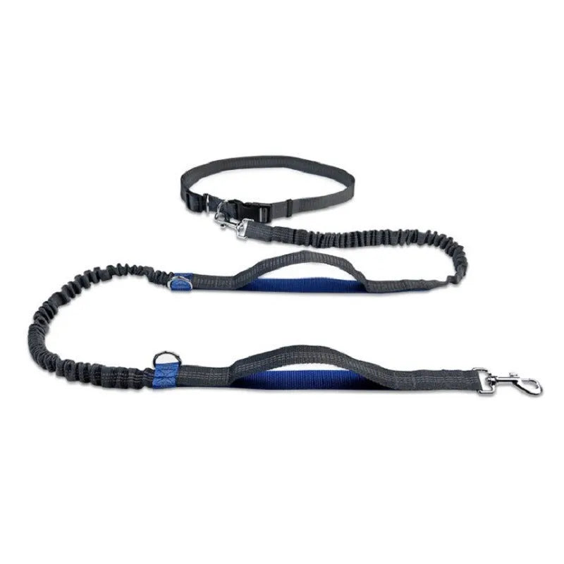 Adjustable pet traction rope with retractable leash and waist belt in fluorescent colours