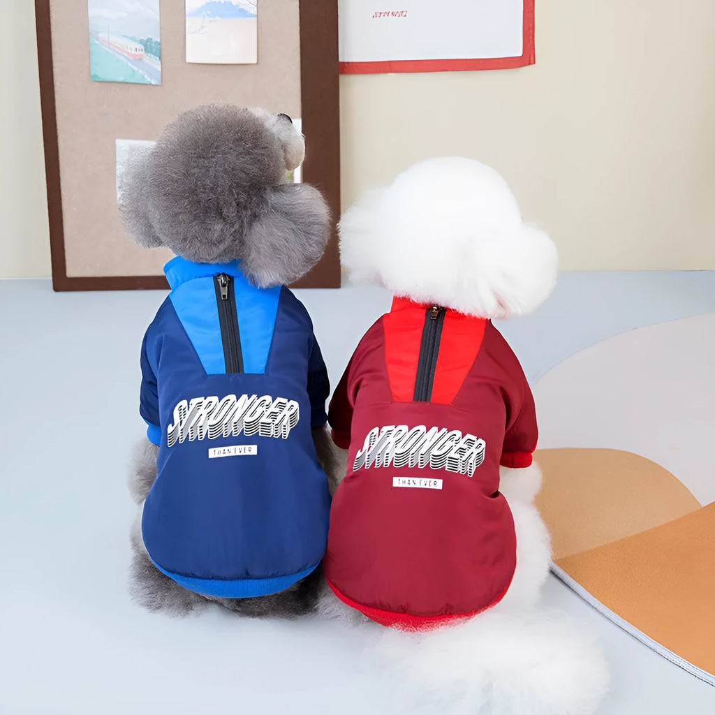 Red or blue dog coat with V-shaped splicing design on a mannequin, showing size range from XS to 3L.