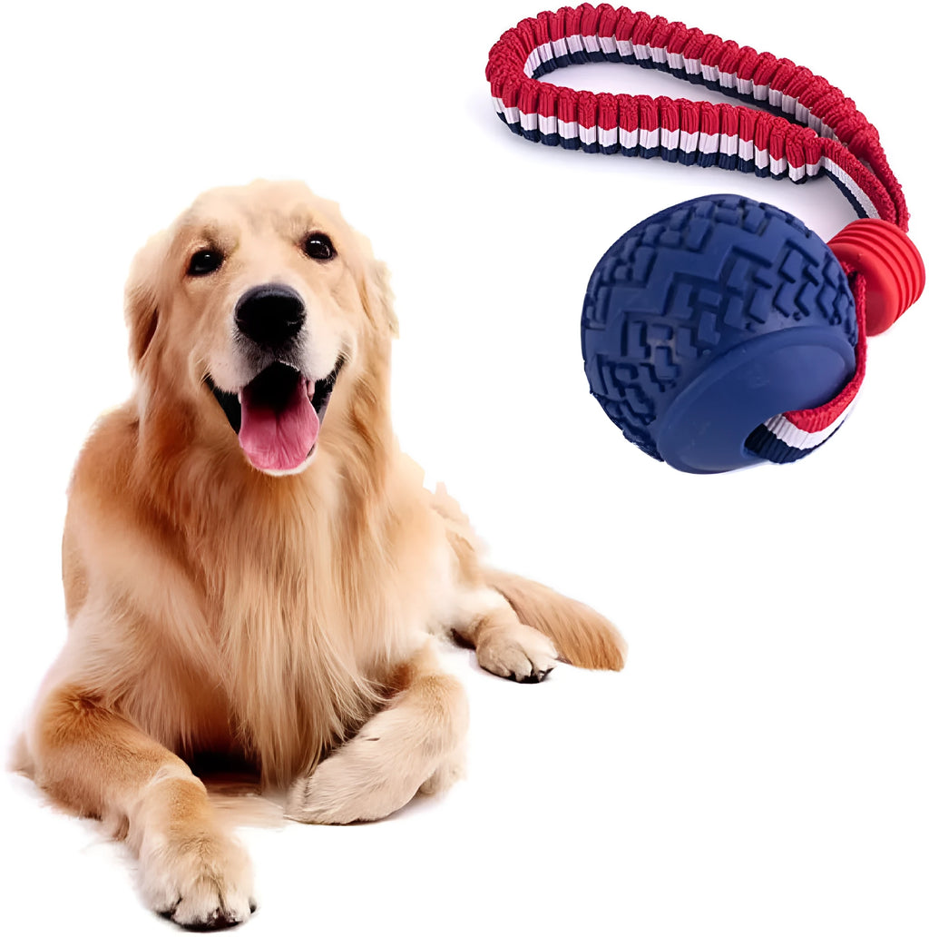 Blue or red natural rubber dog ball with attached rope toy for small and medium breed dogs