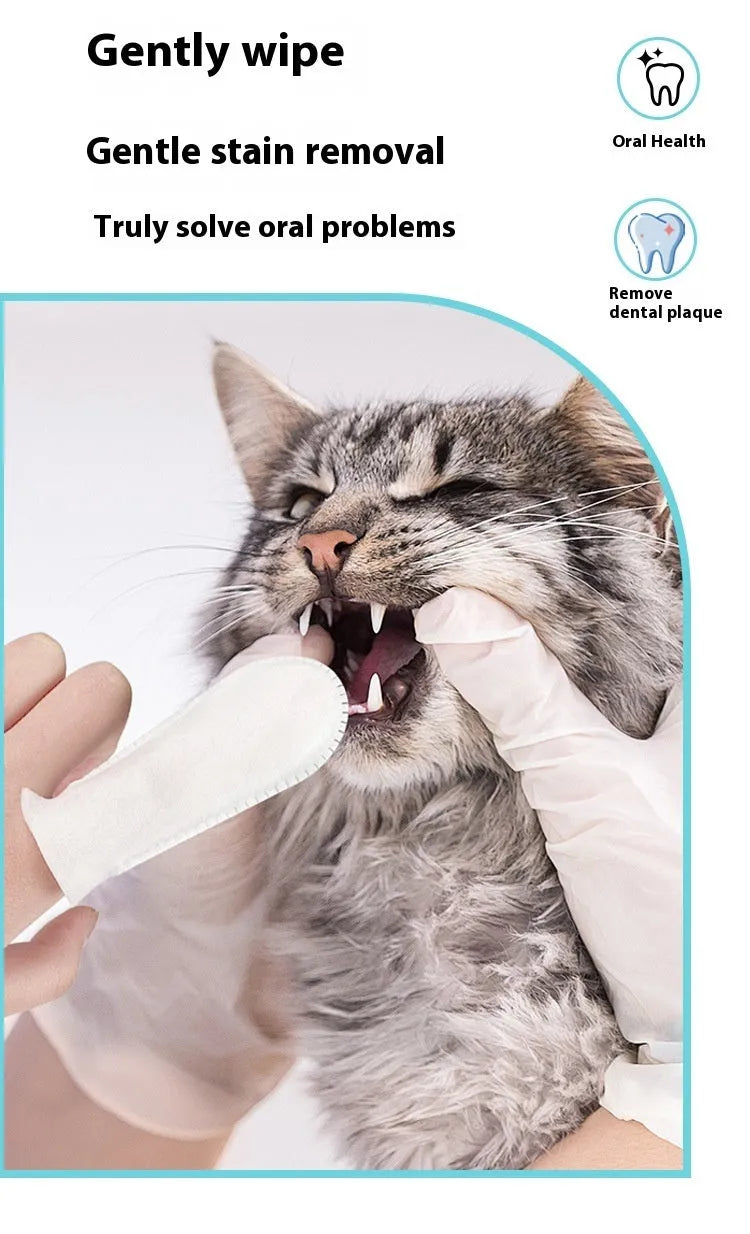Pack of 50 soft white disposable finger cots for cleaning dog and cat teeth