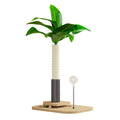 Natural wood vertical cat scratching post with sisal rope and a dangling ball toy on a beige carpet