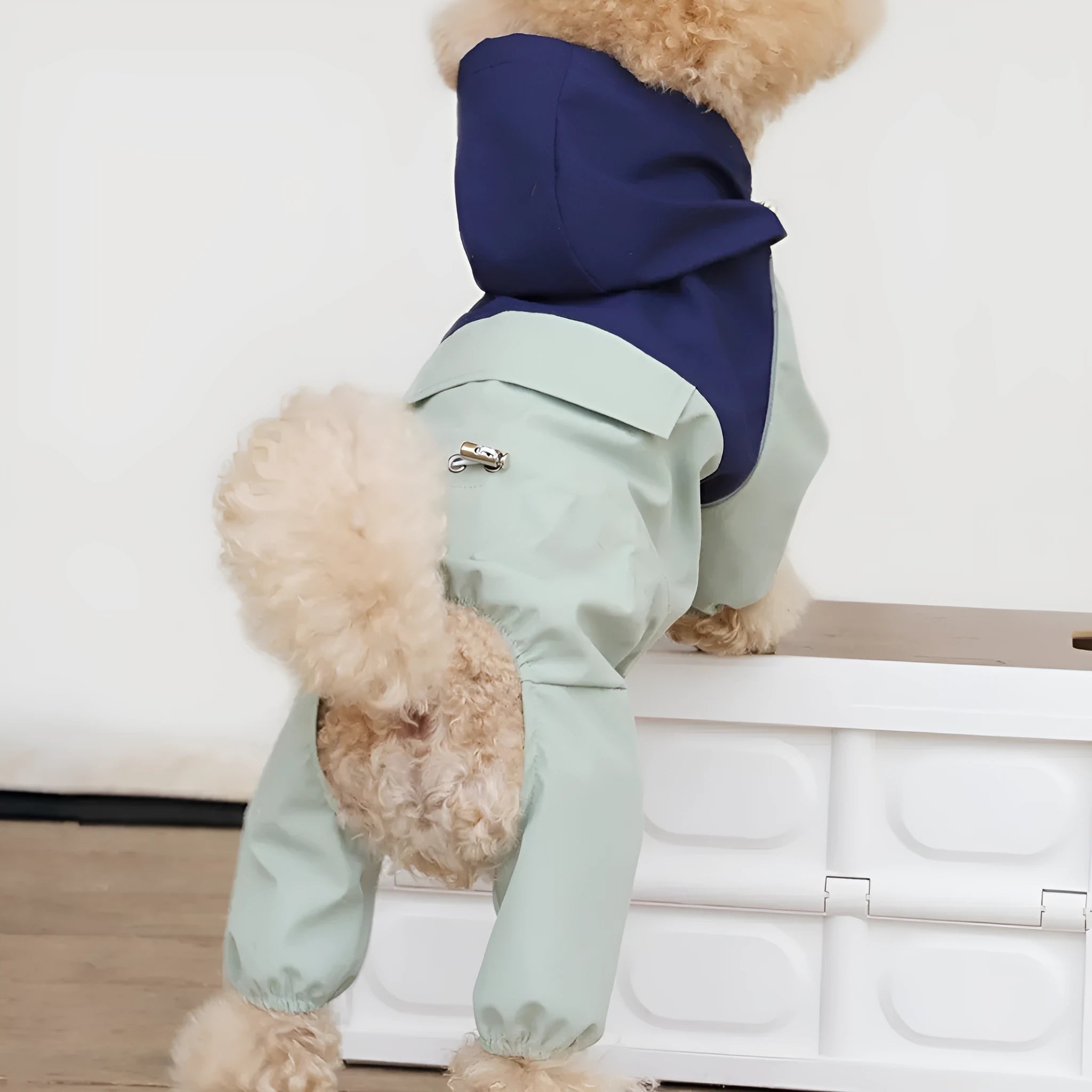 Khaki coloured waterproof shell jacket on a small dog, showing reflective trim and full-length belly zip.