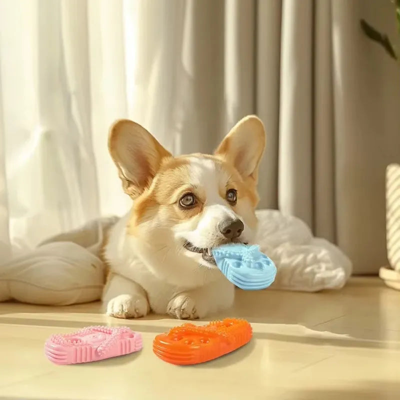 Durable rubber dog chewing toy in slipper shape, blue colour, on light background