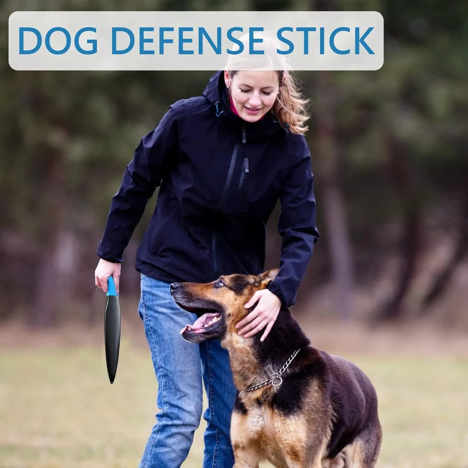 Blue handled nylon dog break stick for training, 35 cm long.