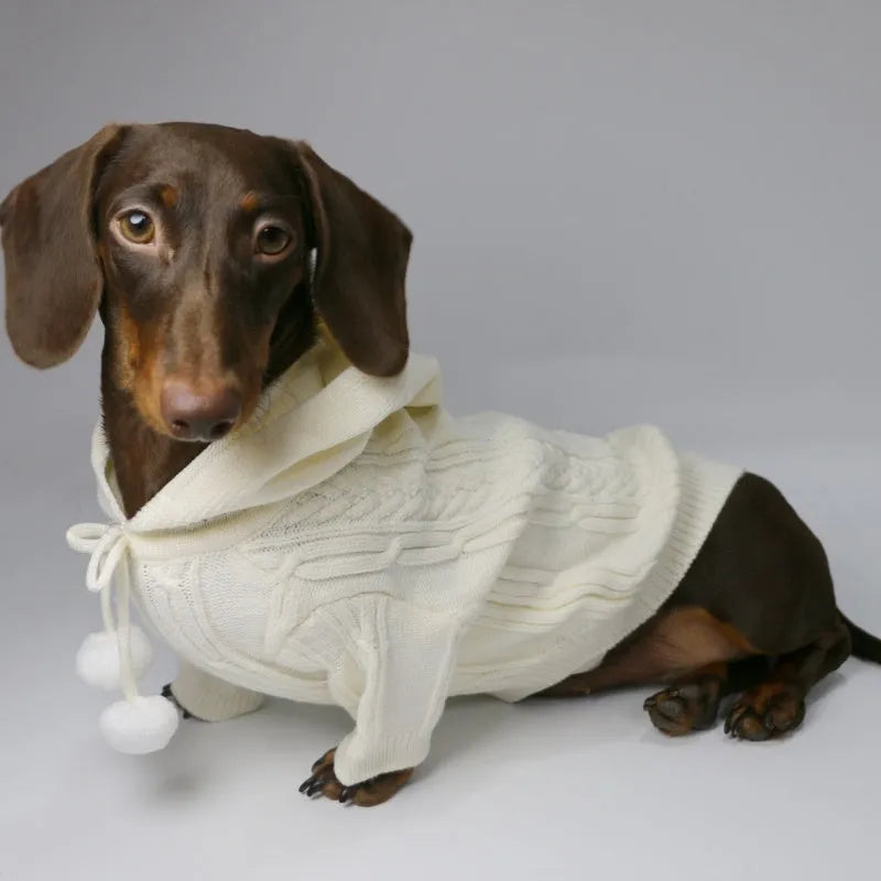 Autumn winter two-leg hooded sweater for dogs in beige colour showing hood and blended fabric