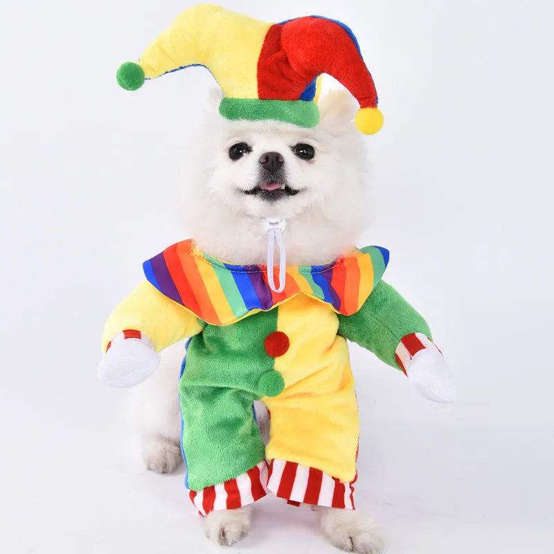 Halloween dog costume in various designs including bat suit and pumpkin pack themes