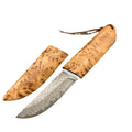 Outdoor camping short knife with Damascus pattern VG10 steel blade and Thuja wood handle