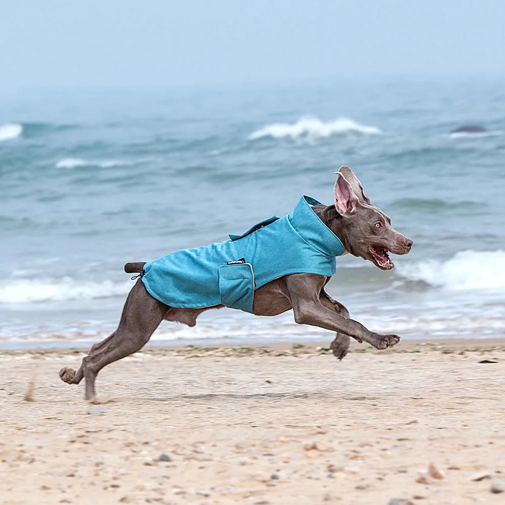 Polyester dog vest for medium large dogs in rose red, light blue, or grey colour