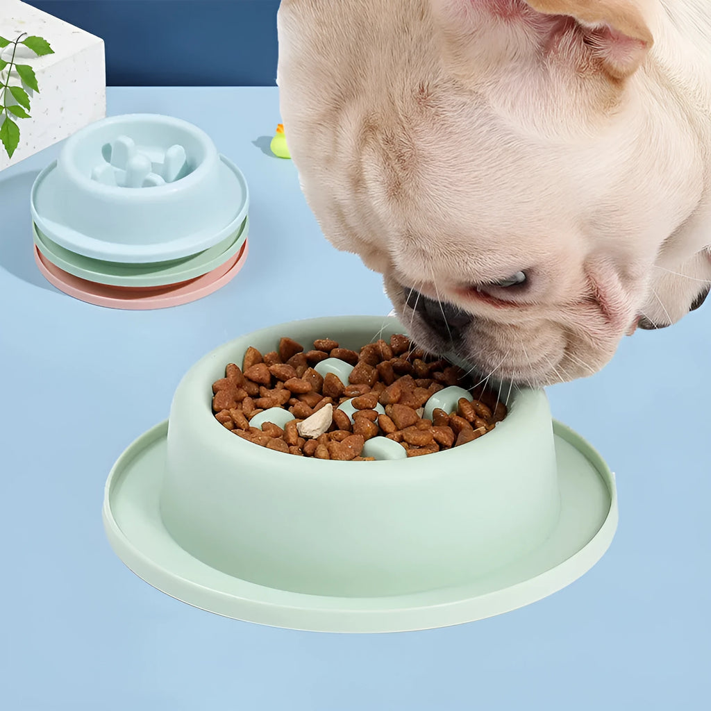 Pet slow food bowl anti-choking apparatus in pink plastic 17cm diameter with blue and green options