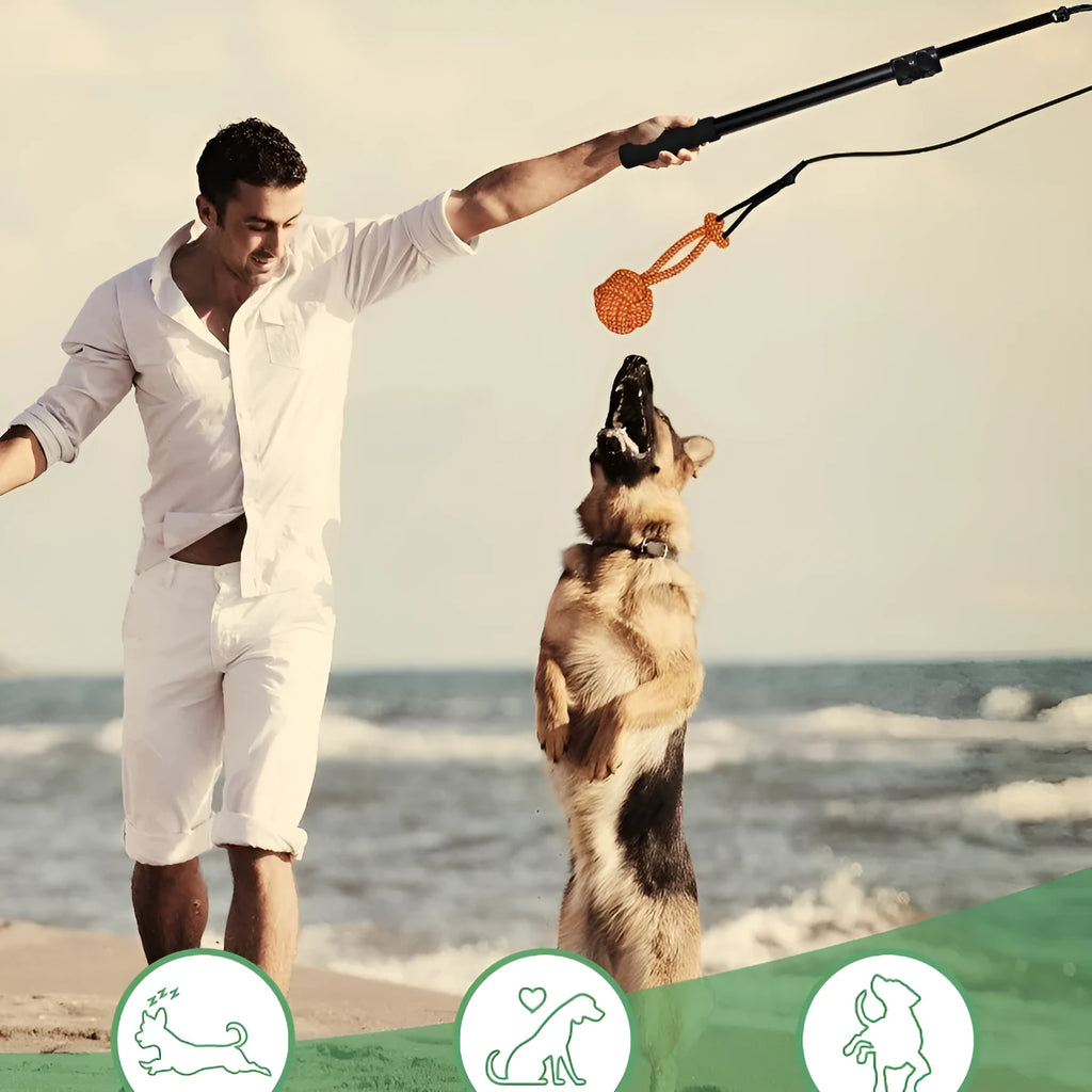 Telescopic funny dog stick cat teaser aluminium alloy rod for pet training black small size