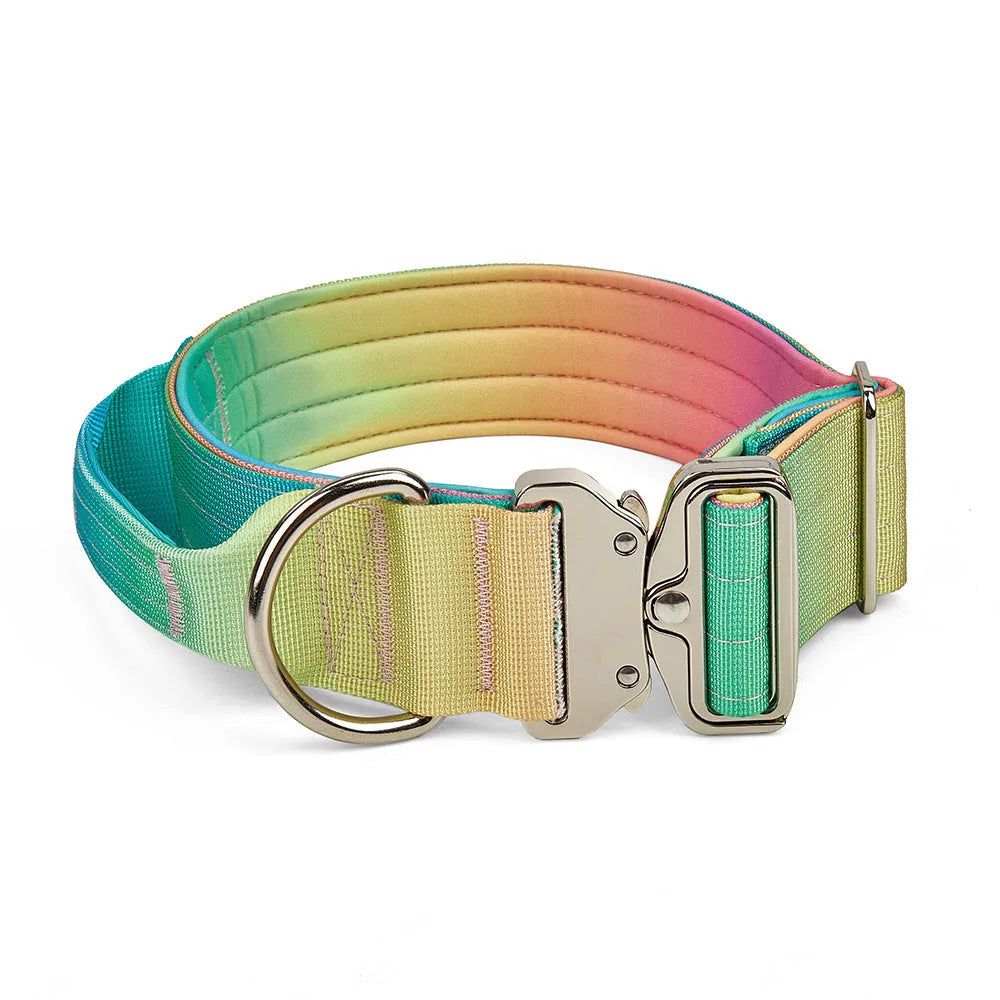 Widened gradient colour dog collar and matching leash set in blue and purple combination