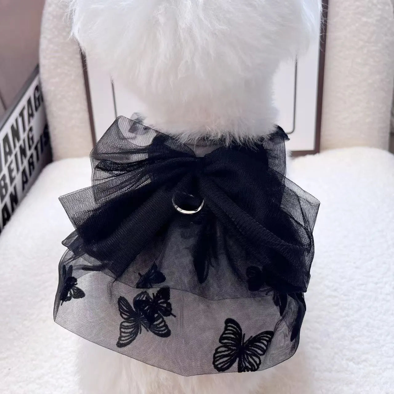 Black layered tulle princess skirt on a small dog, showing elastic waistband and tiered design.