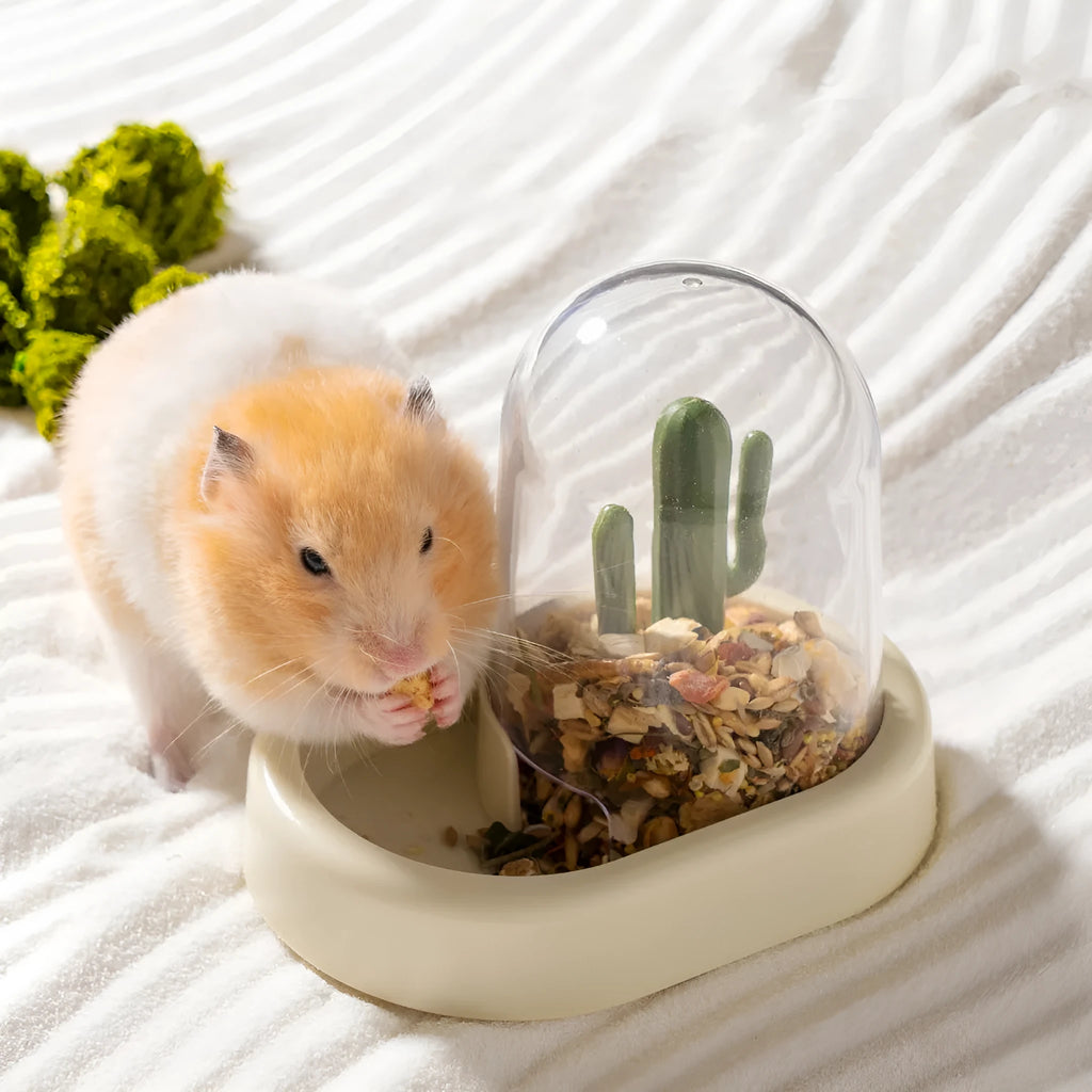 Creative cactus design hamster automatic feeder with transparent 190ml grain storage