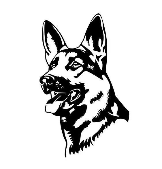 Reflective silver white Alsatian German Shepherd car bumper sticker on a vehicle.