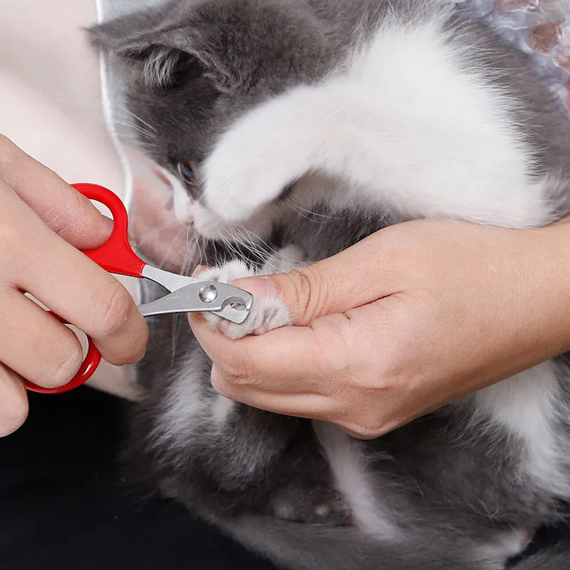 Stainless steel pet nail clippers with coloured plastic and rubber handle for dog and cat grooming