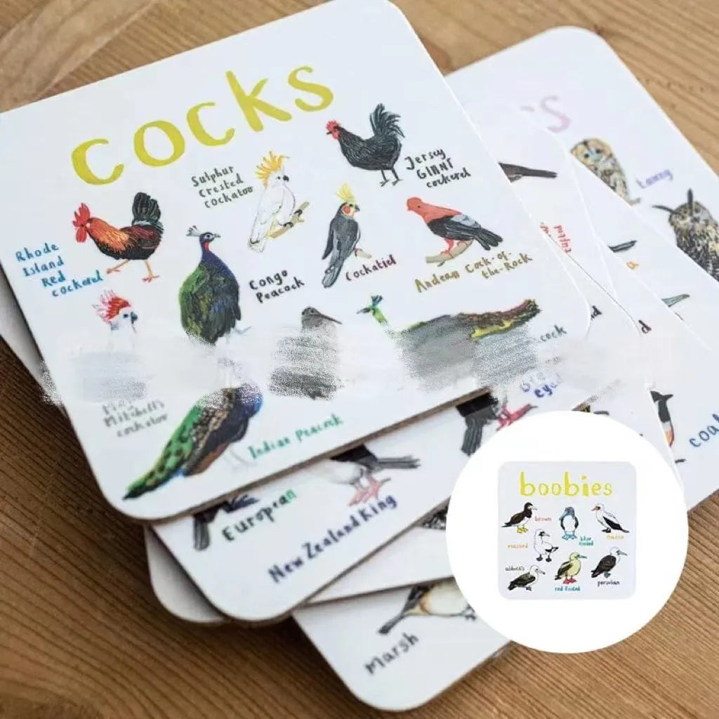 Set of 6 square bird pun coasters with PVC material, each featuring a different bird chart, 10x10x0.35 cm