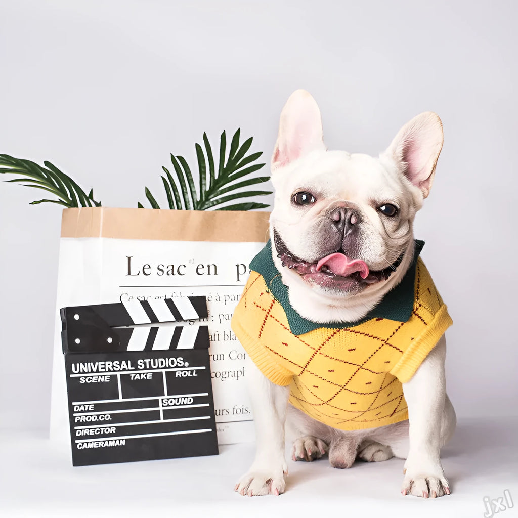 Yellow cotton dog sweater with collar on a white background, Japanese Korean style knit design