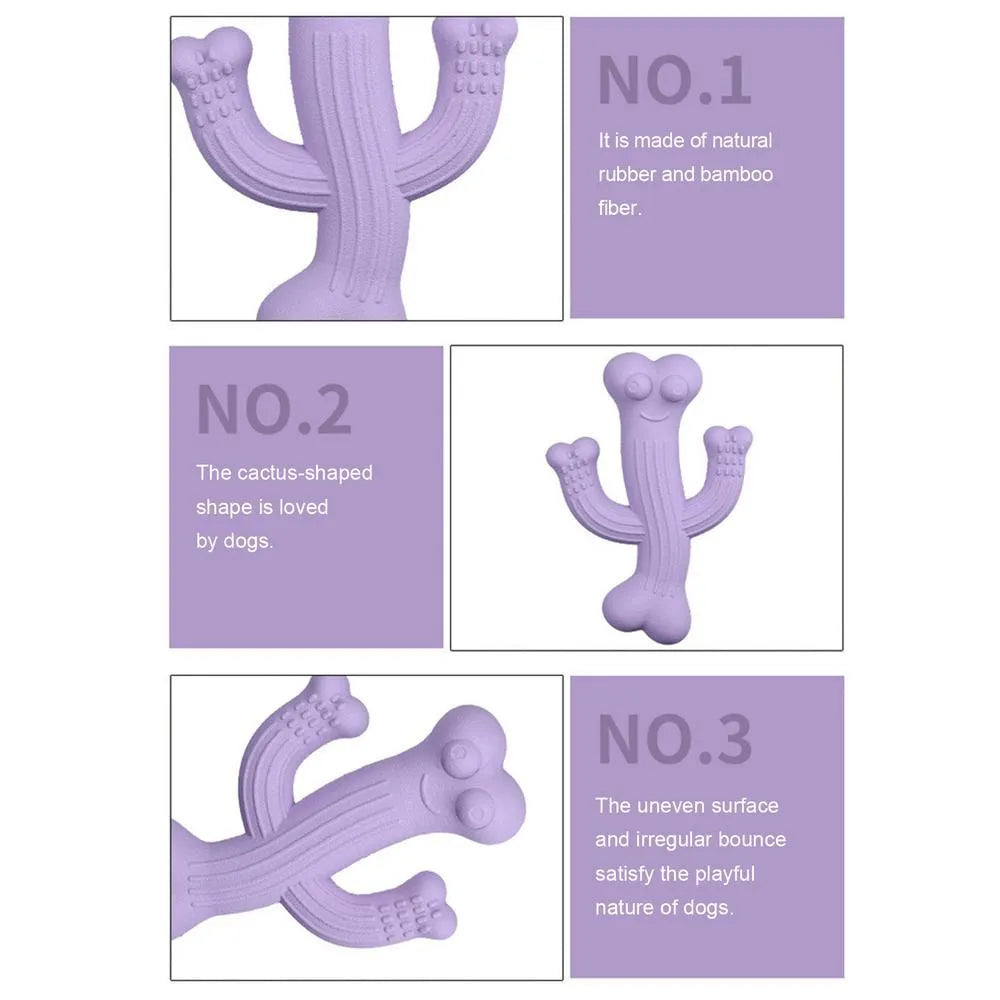 Cactus-shaped dog chew toy in bamboo fibre and rubber construction showing size comparison