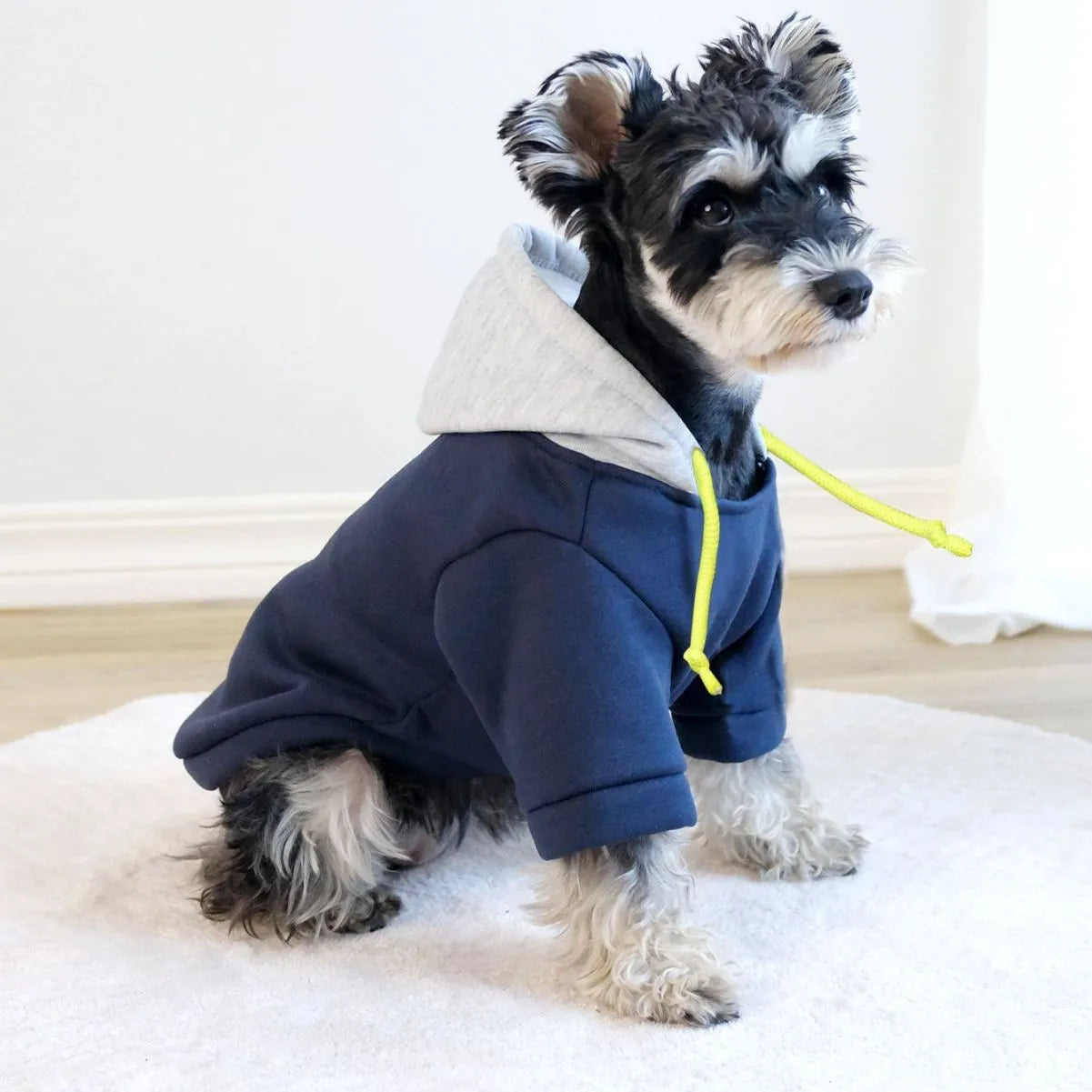 Dark red polyester hooded pullover for pets on a dog model