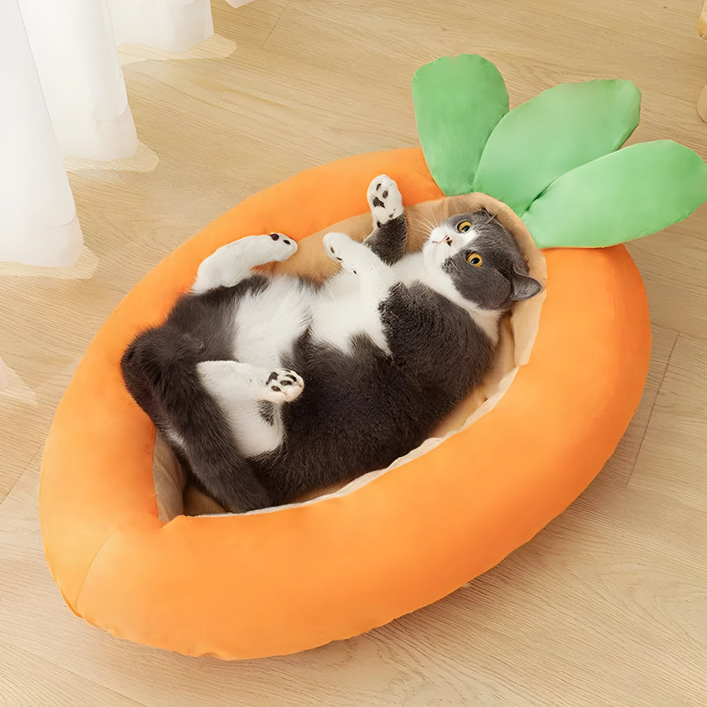 Reversible carrot-print cloth pet mat for dogs, shown in medium and large sizes.