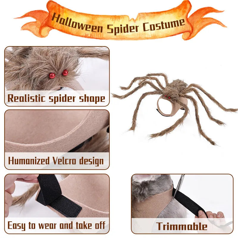 Grey big spider Halloween costume on a small dog, showing the full costume fit.