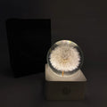 Small 8cm decorative night light with preserved dandelion and sunflower specimen on desk