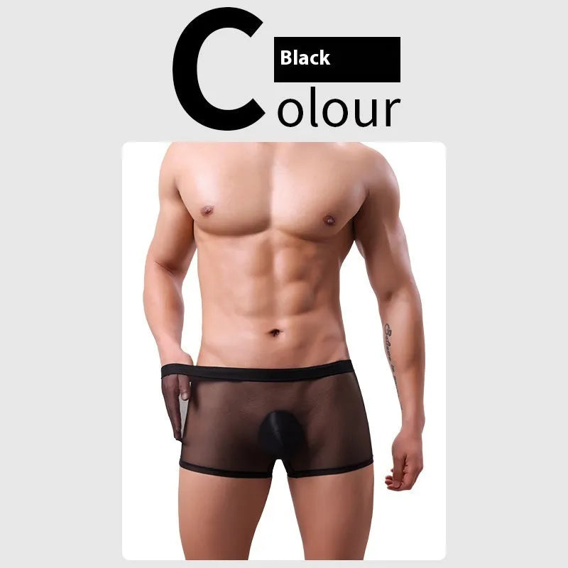 Men's low-waist mesh boxer briefs in sheer black polyester fabric on a white background.