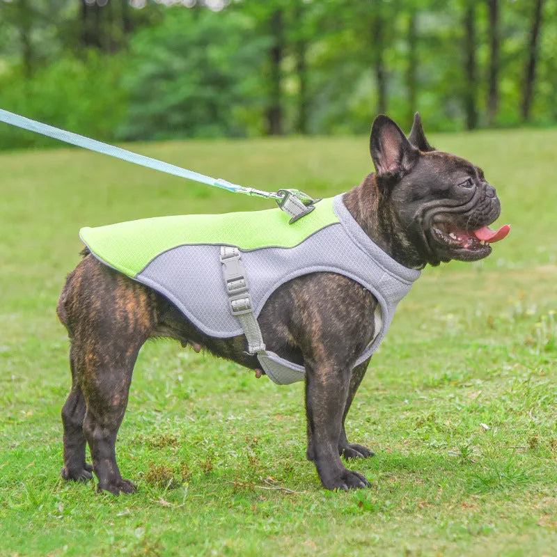 Orange dog cooling vest with layered evaporation system for summer heat protection during outdoor walks