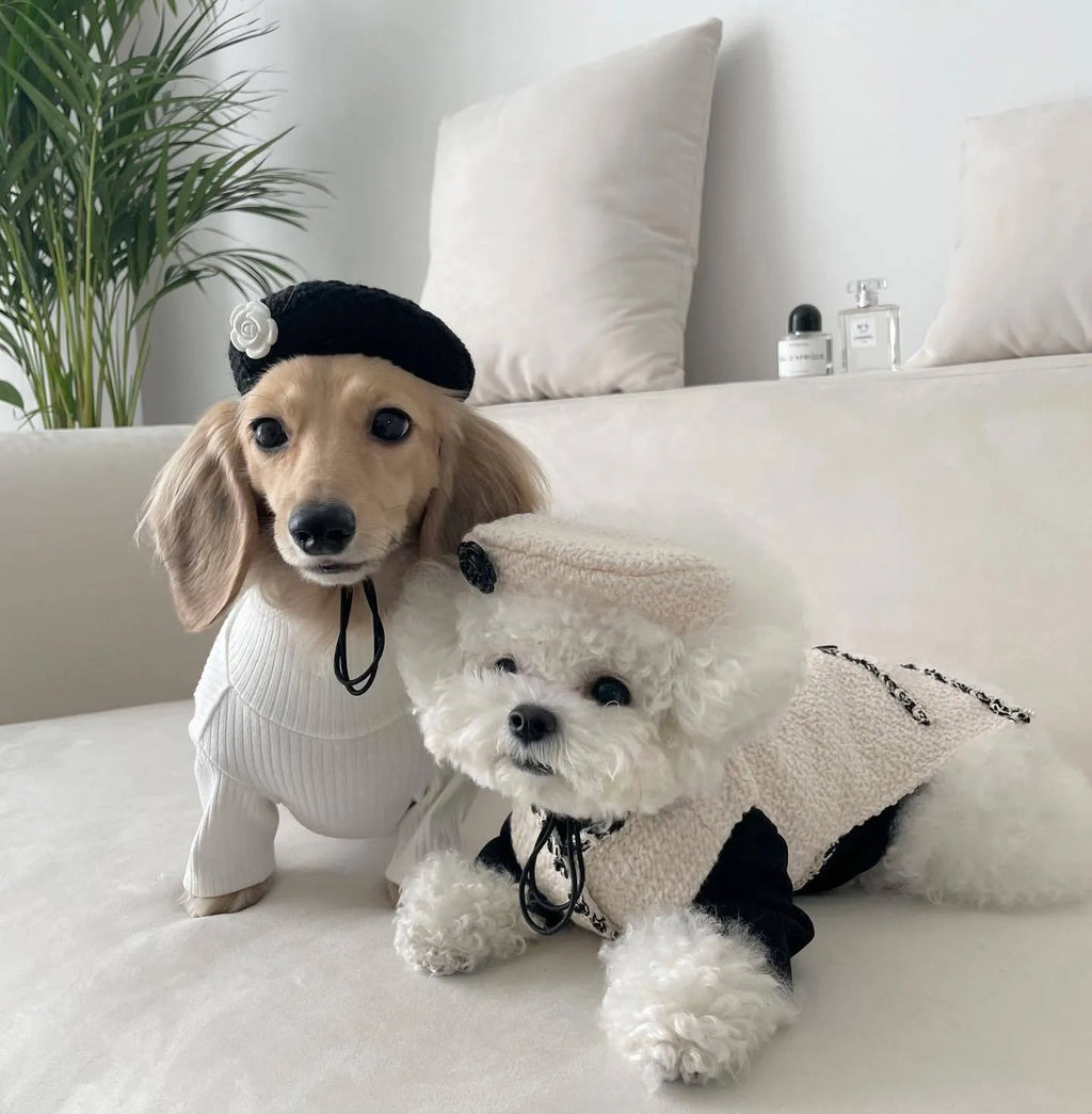 Small pet wearing knitted hat in black or beige, chemical fibre, 40cm head circumference