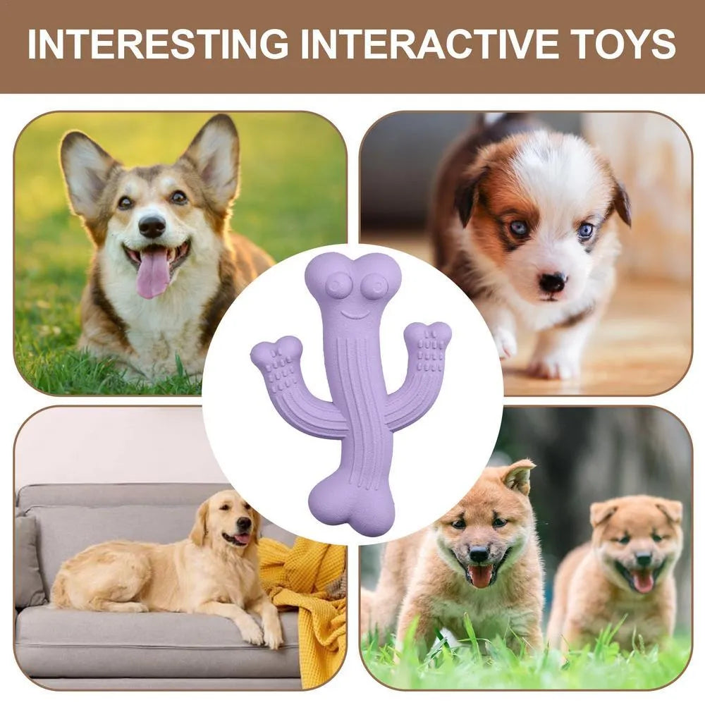 Cactus-shaped dog chew toy in bamboo fibre and rubber construction showing size comparison